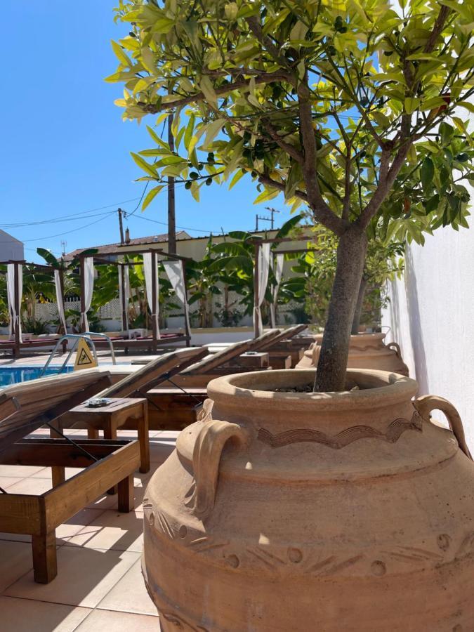 Oasis Club Appartement